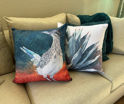 The Roadrunner throw pillow and Clarity throw pillow