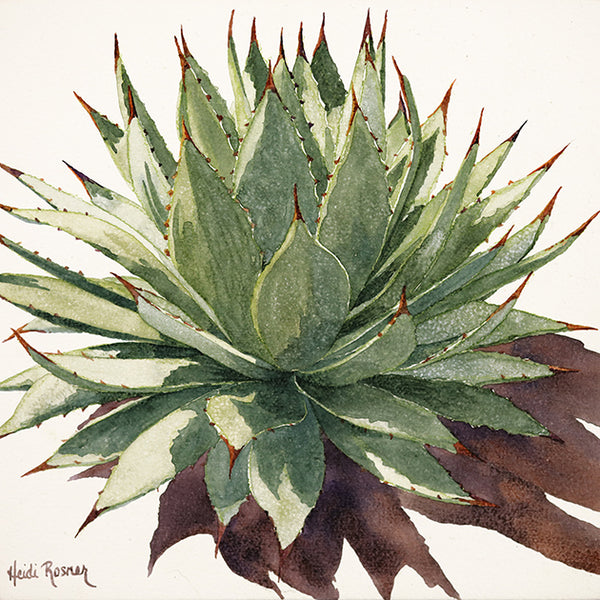 Serenity Agave mini 1 | Agave painting | Watercolor Painting
