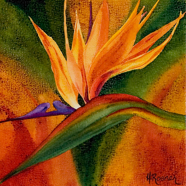 Bird of Paradise - Heidi Rosner Fine Art