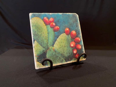 Fruit of the Opuntia trivet on an iron stand