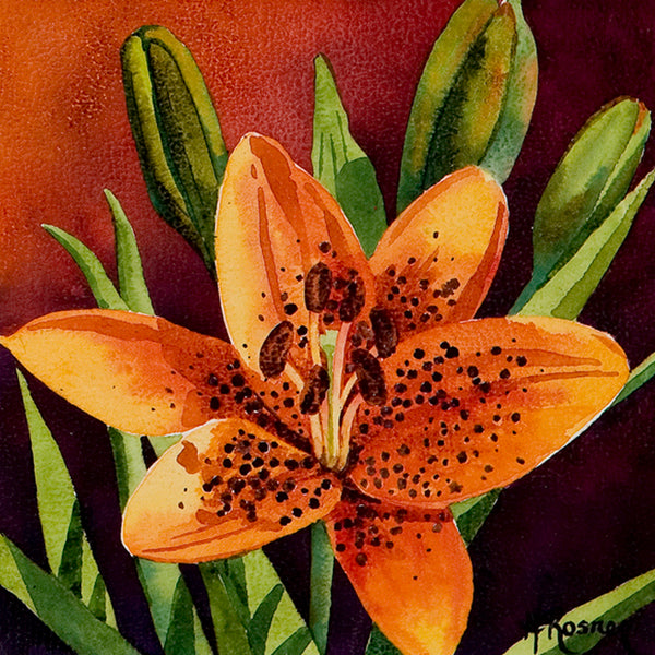 Lily - Heidi Rosner Fine Art