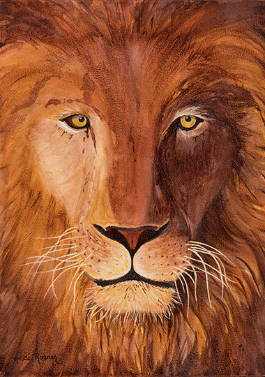 Lion Gaze - Heidi Rosner Fine Art