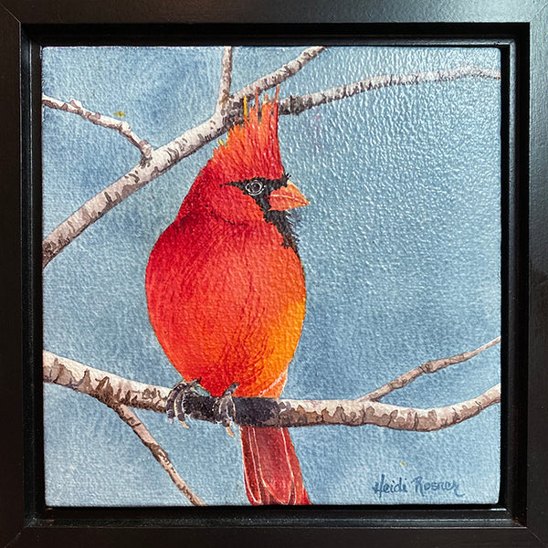 Painting a cardinal with my @grabieofficial Watercolor Paint Set with