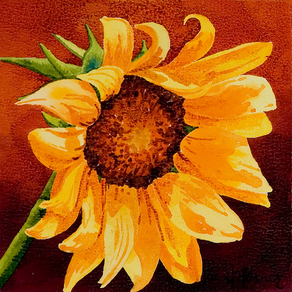 Sunflower - Heidi Rosner Fine Art