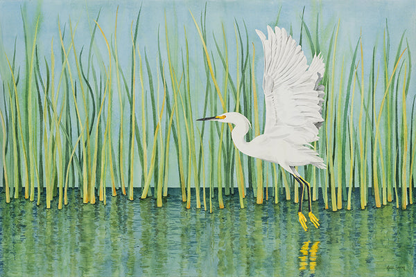 Taking Flight | Egret Watercolor Painting - Heidi Rosner Fine Art