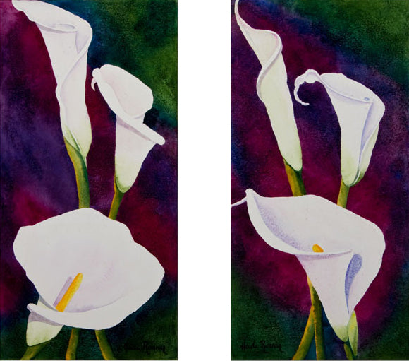 White Splendor I and II, calla lily watercolor painting