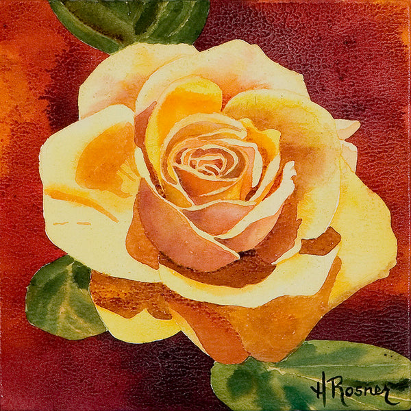 Yellow Rose - Heidi Rosner Fine Art