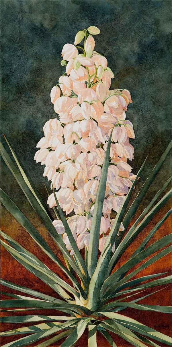 yucca cane bloom Yucca In Bloom | Giclee