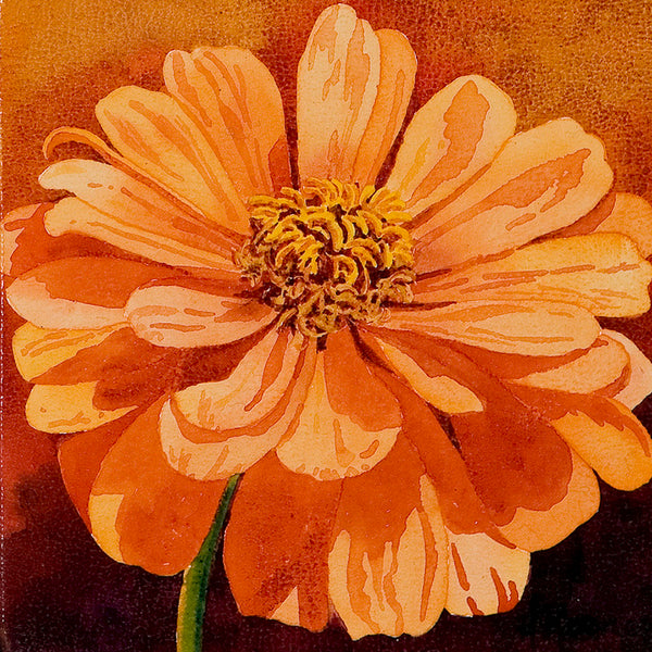 Zinnia_Heidi_Rosner_Watercolor