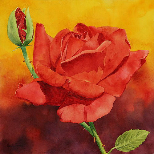 The "A Rose By Any Other Name..." watercolor painting by Heidi Rosner. It features a blooming red rose against a watercolor background (yellow to red)