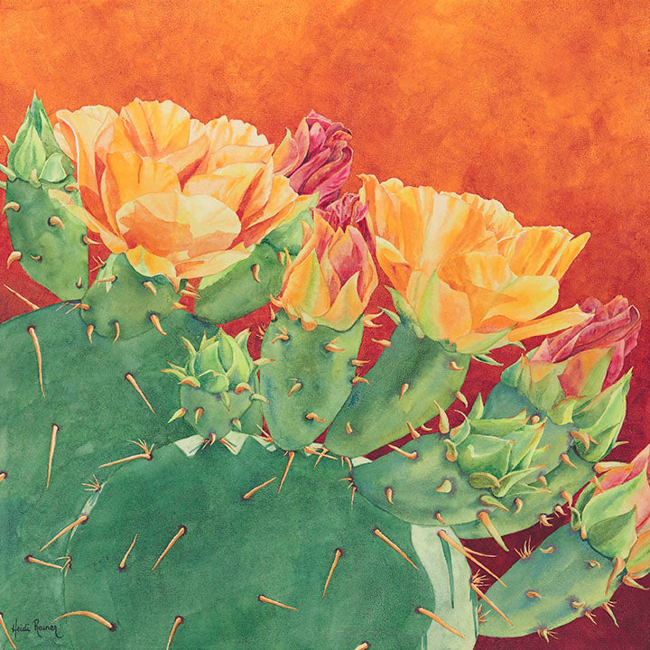 prickly pear cactus watercolor Abundance - Prickly Pear Watercolor Painting