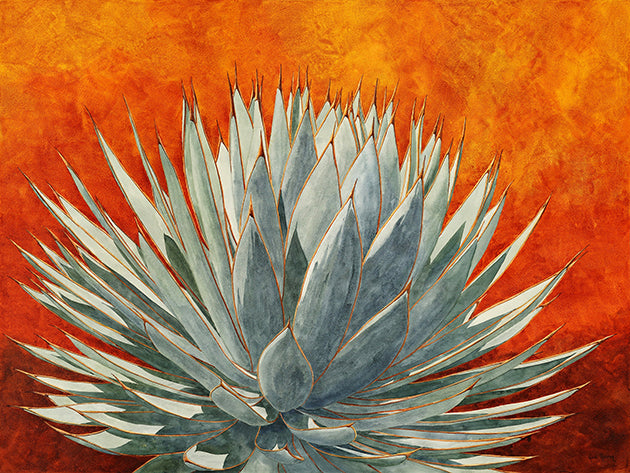 Agave Glow is a water color painting by Heidi Rosner featuring an agave plant against an orange and dark orange watercolor background.