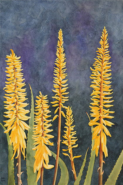 The "Aloe in Bloom" watercolor painting by Heidi Rosner. It features yellow aloe vera flowers against a purple watercolor background