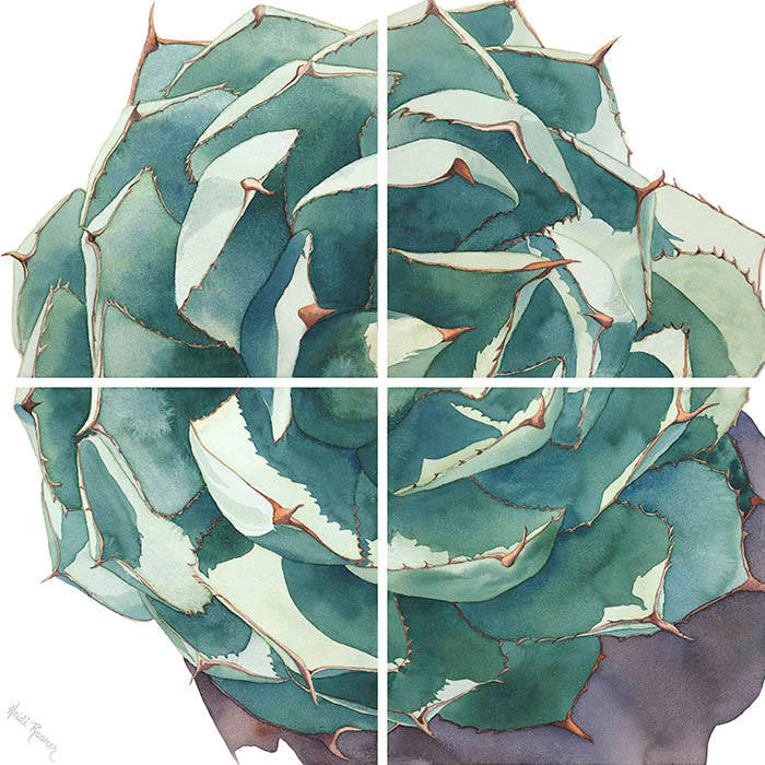 A composite of all canvases of "Becoming Whole" watercolor paintings by Heidi Rosner. It features a whole artichoke agave against a white background.
