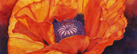 The "Centerpiece" watercolor painting by Heidi Rosner. It features an orange poppy against a gradient background