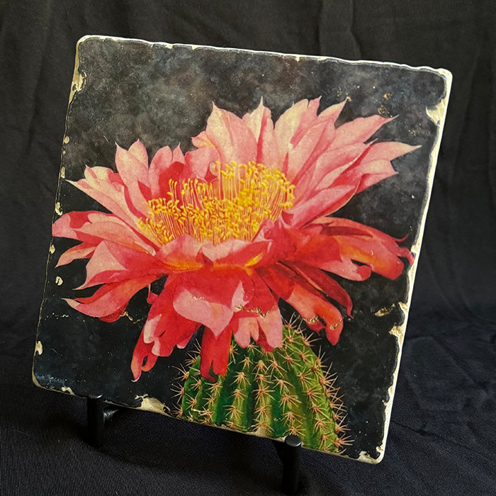 The "Cereusly" trivet featured on its iron stand. The image is a watercolor painting of a Cereus cactus in bloom.