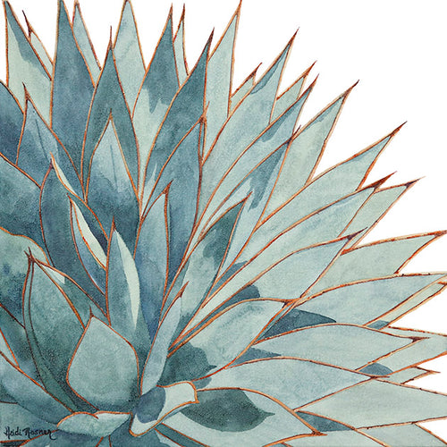 Clarity 2 is a watercolor painting by Heidi Rosner. The painting features a Blue Glow Agave against a white background.