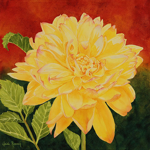 The "'Dahlia'nce" watercolor painting by Heidi Rosner. It features a yellow dahlia in bloom against a watercolor background (red and green)