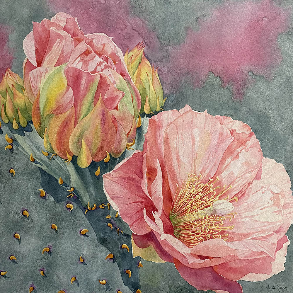 Rosebud - Heidi Rosner Fine Art