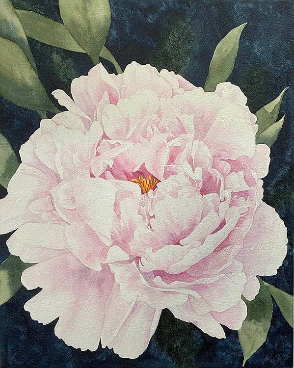 The "Everlasting Love" watercolor painting by Heidi Rosner. It depicts a pink peony.