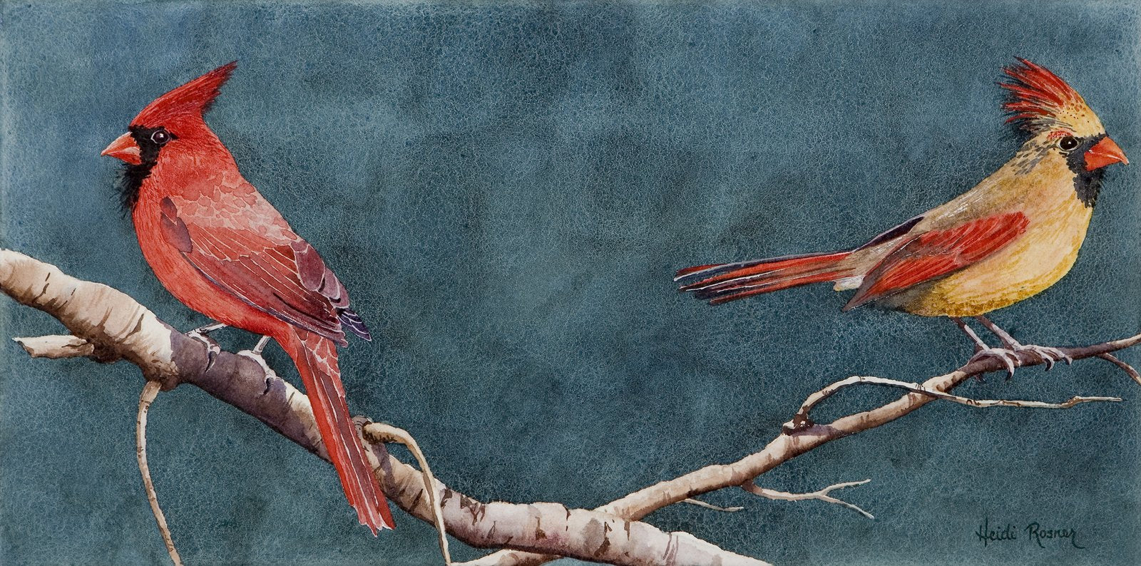 Contact Heidi Rosner