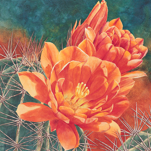 A watercolor painting by Heidi Rosner. It features a closeup of the top of a hedgehog cactus, with a large orange blooming flower. The background is a watercolor gradient of orange to blue-green.