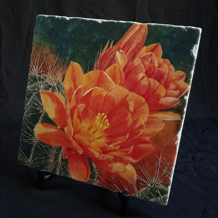 The "Hedgehog" trivet on its iron stand. The image is a watercolor painting of a hedgehog cactus in bloom.
