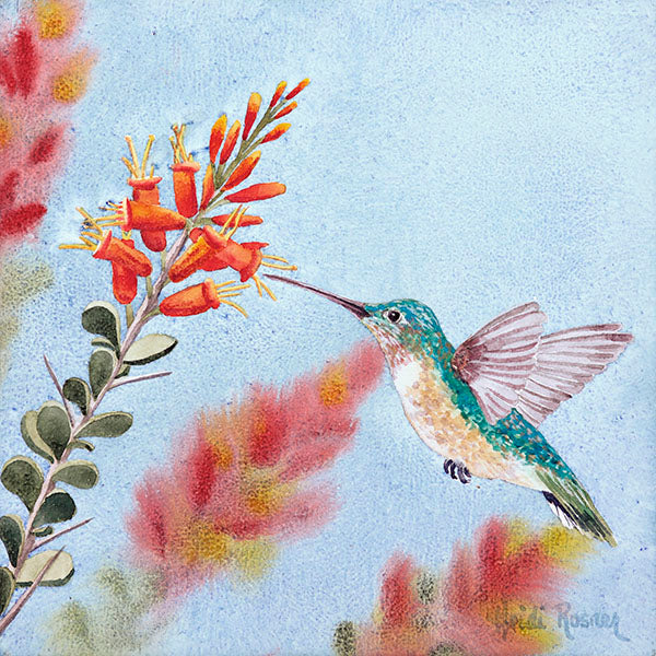 A watercolor painting by Heidi Rosner featuring a profile of a hummingbird feeding from a ocotillo flower