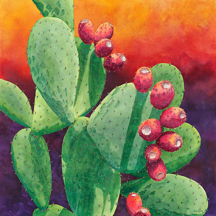prickly pear cactus botanical illustration Juicy Fruit - Prickly Pear Watercolor Painting