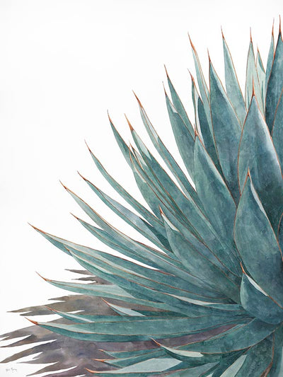 The Quietude I watercolor painting by Heidi Rosner. It features the left side of an agave.