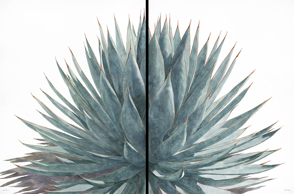 The Quietude I and Quietude II watercolor paintings side by side. Together they form a full agave.