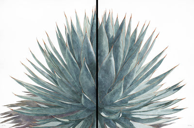 The Quietude I and Quietude II watercolor paintings side by side. Together they form a full agave.