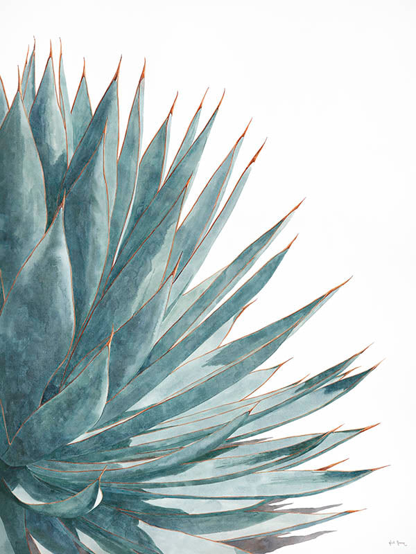 The Quietude II watercolor painting by Heidi Rosner. It features the right side of an agave.