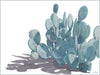 The "Repose" watercolor painting by Heidi Rosner. It features a large prickly pear cactus plant, with a long cast shadow. The background it white.