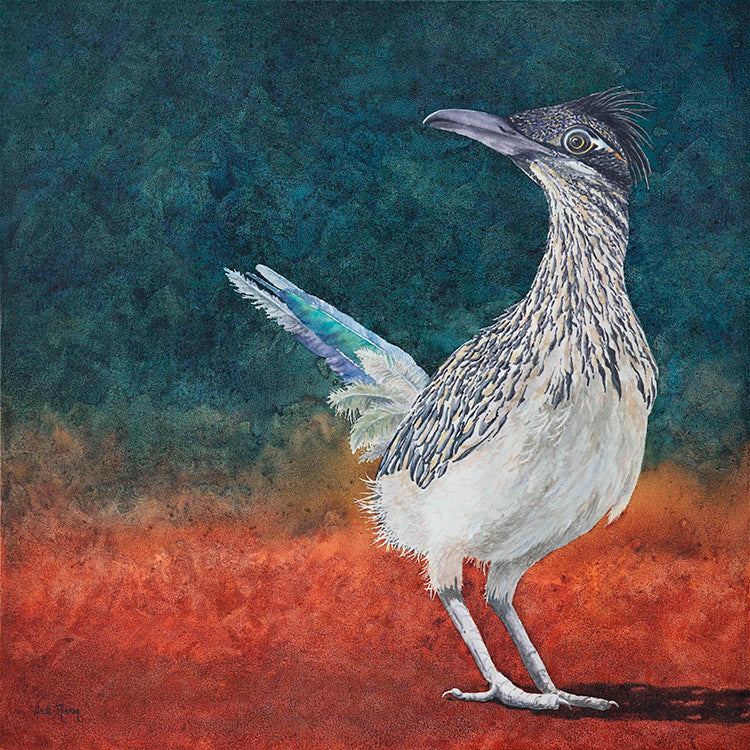 The Roadrunner image that will be printed on the pillow