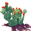 The "A Touch of Red" watercolor painting by Heidi Rosner. It features a watercolor prickly pear plant with bright red fruits. It is casting a shadow and has a white background.