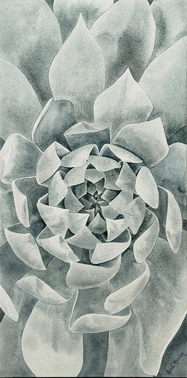 Spiral Sanctuary is a watercolor painting by Heidi Rosner. It features a top down look at an agave. 