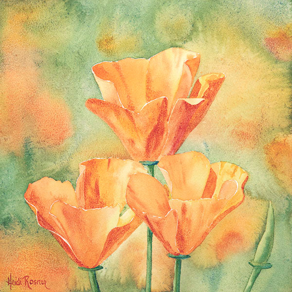 A watercolor painting by Heidi Rosner features an orange mountain poppy. The background is a watercolor pattern with orange and green.