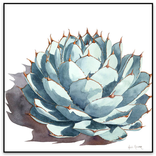 Symmetry I by Heidi Rosner is a watercolor painting of an agave. The plant is against a white background with a slight cast shadow to the left. This instance is shown with a black frame. 
