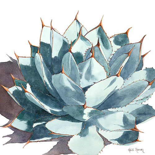 Symmetry II is a watercolor painting by Heidi Rosner. It features an agave against a white background with a slight shadow casting to the left of the piece.