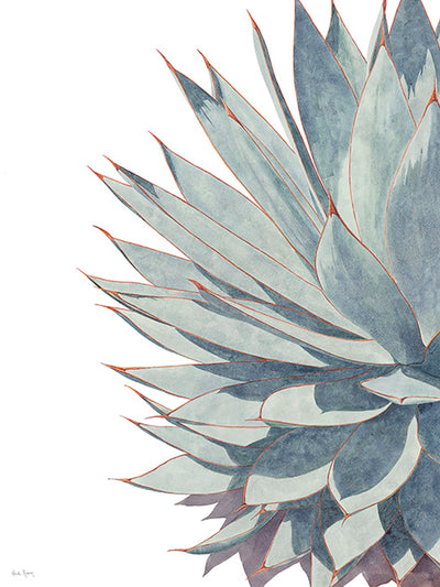 Synergy I watercolor painting by Heidi Rosner. It shows the left side of the Synergy diptych. It shows the left side of an agave against a white background