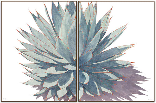 The Synergy I and II watercolor paintings, shown side-by-side framed. Together, these pieces show an agave against a white background with a shadow being cast to the right.