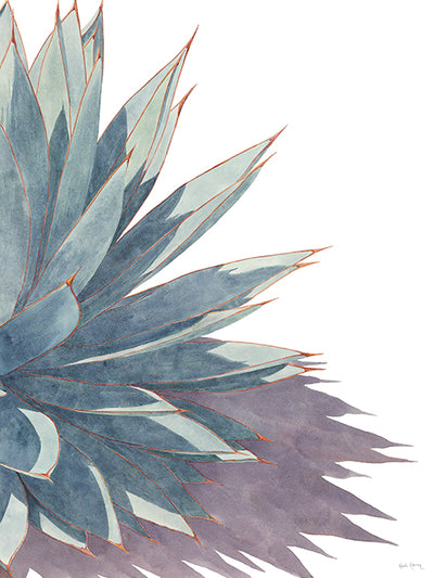 Synergy II watercolor painting by Heidi Rosner. It shows the right side of the Synergy diptych. It shows the Right side of an agave against a white background with a shadow going to the right