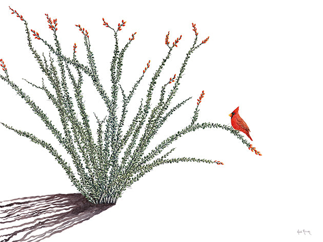 The Visitor watercolor painting by Heidi Rosner. It features a red cardinal sitting on an ocotillo branch against a white background. The ocotillo casts a shadow