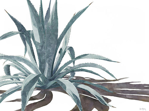 The "Transformation" watercolor painting by Heidi Rosner. It features an agave against a white background, casting a long shadow