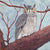 "Wanna Do Lunch" is a watercolor painting by artist Heidi Rosner. The painting depicts an owl with light yellow/green eyes staring directly at viewer. The owl is perched on a tree branch.