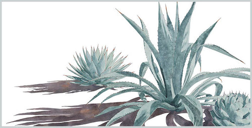 The "Zen Garden" watercolor painting by Heidi Rosner. This piece features three agave plants casting long shadows against a white background.
