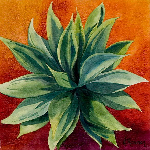 Agave