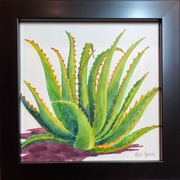 aloe vera plant painting Aloe Tentacles - Aloe Watercolor Painting
