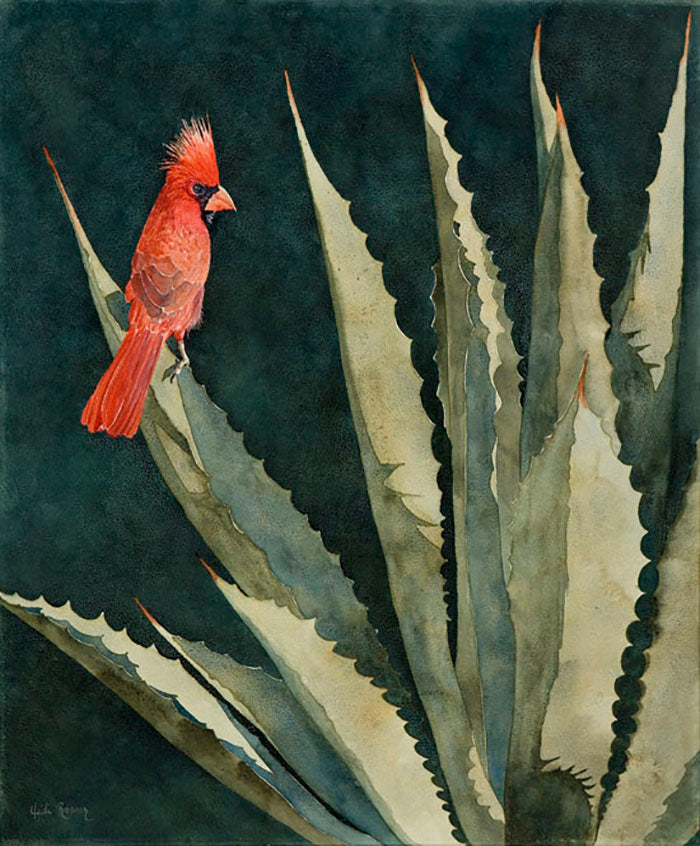 Arizona Cardinal